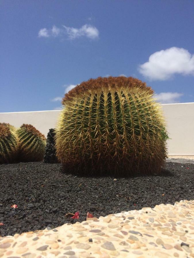 Los Panelos B1 Puerto del Carmen  Eksteriør billede